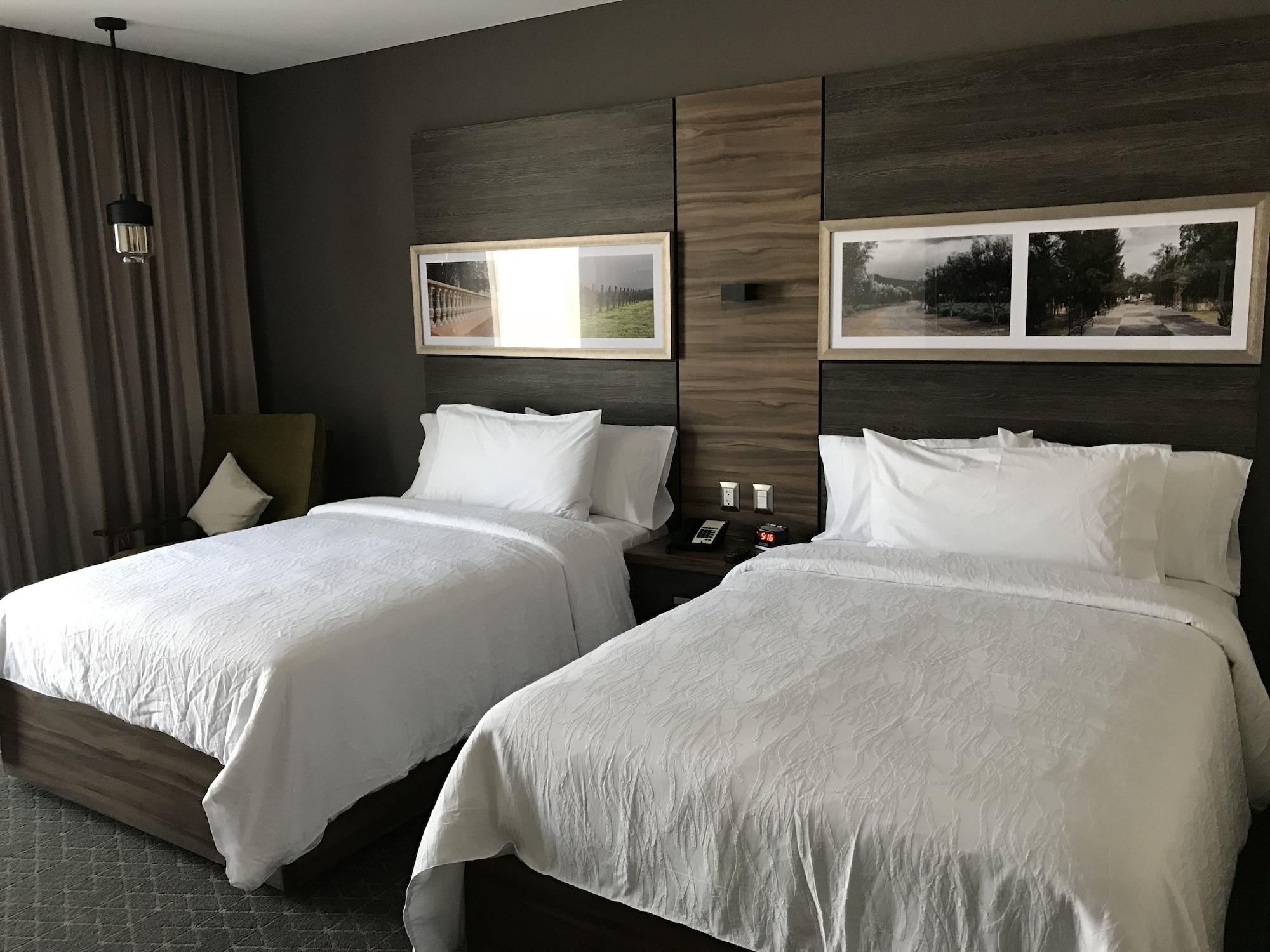 Hilton Garden Inn Aguascalientes Buitenkant foto
